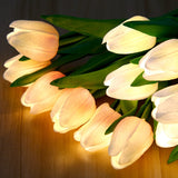 LED Tulip Night Light Lamp