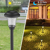 Outdoor Solar LED Light