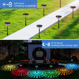 Outdoor Solar LED Light