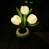 LED Tulip Night Light Lamp