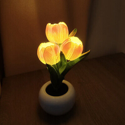 LED Tulip Night Light Lamp