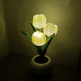 LED Tulip Night Light Lamp